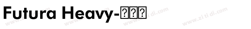 Futura Heavy字体转换